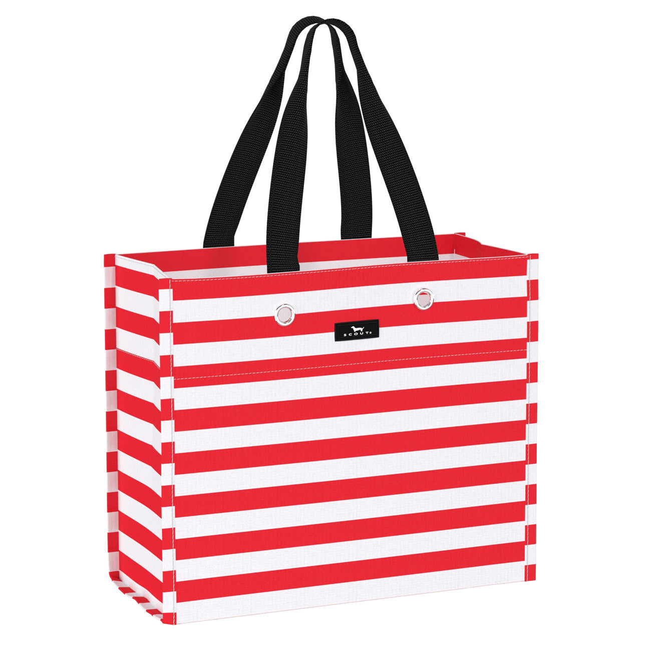 Large Package Gift Bag