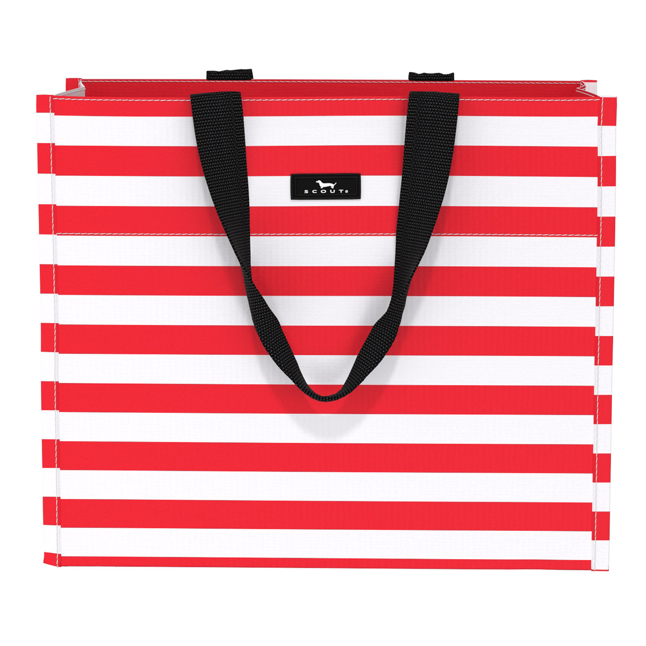 Large Package Gift Bag