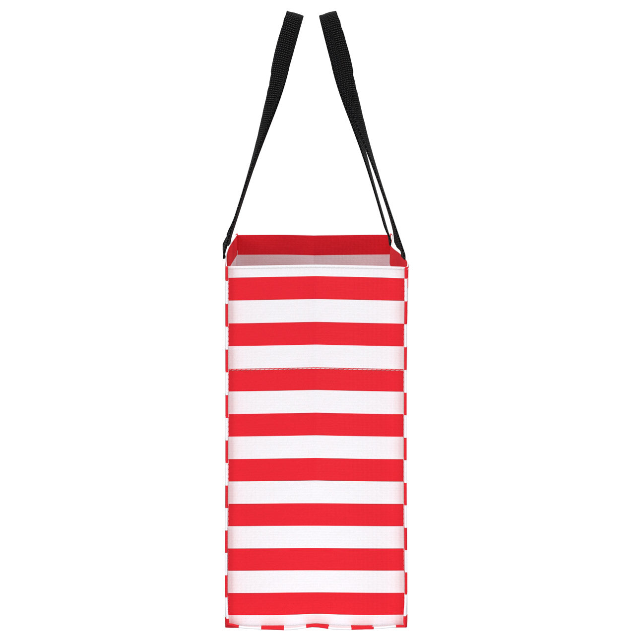 Large Package Gift Bag