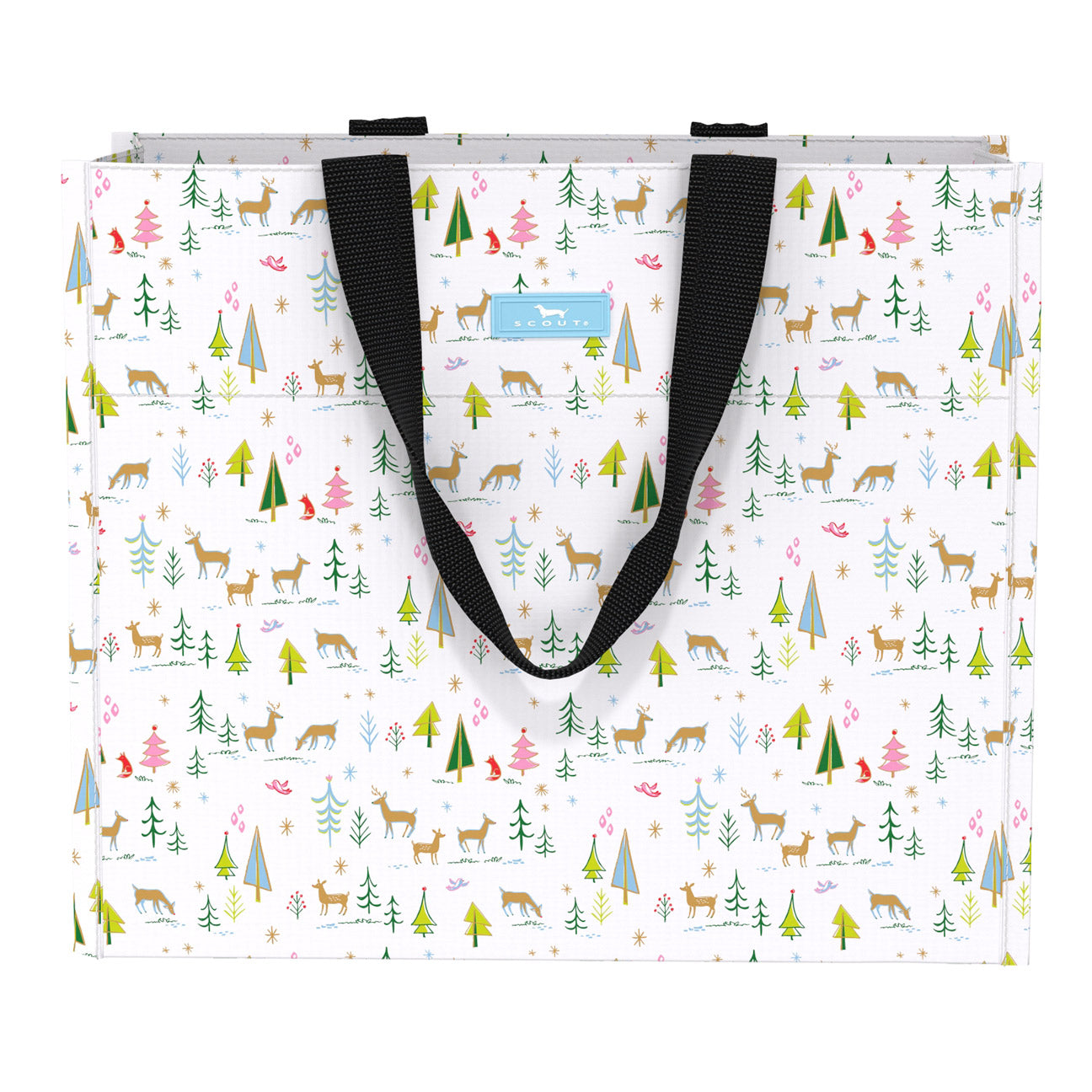 Large Package Gift Bag