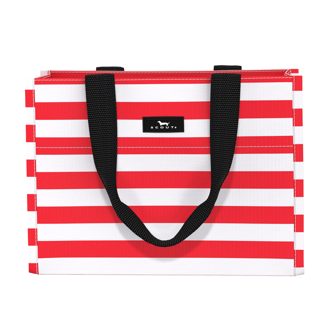Tiny Package Gift Bag