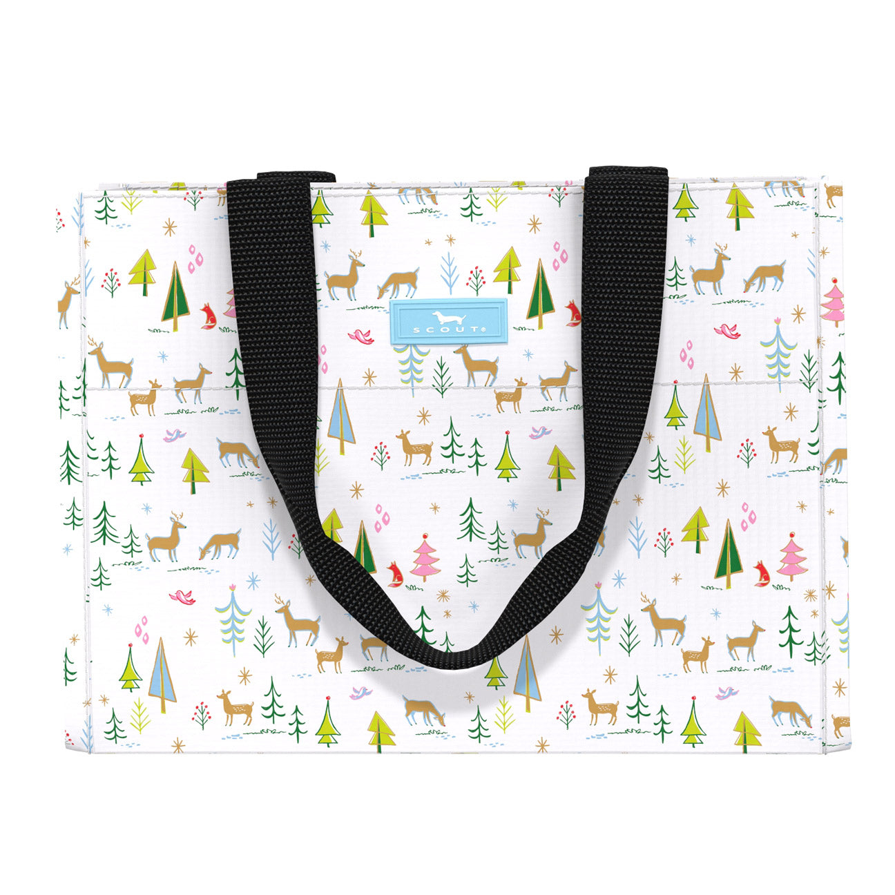 Tiny Package Gift Bag