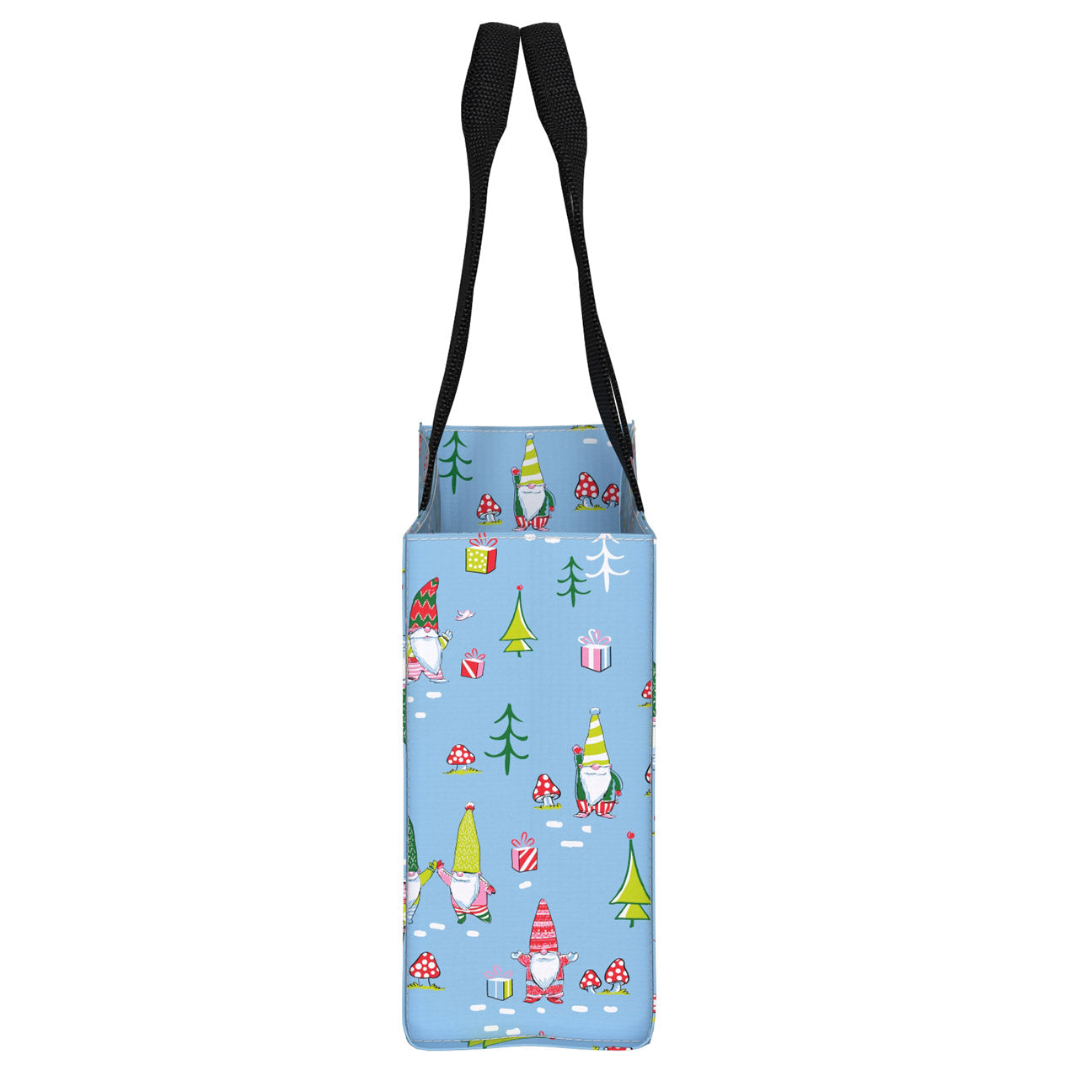 Tiny Package Gift Bag