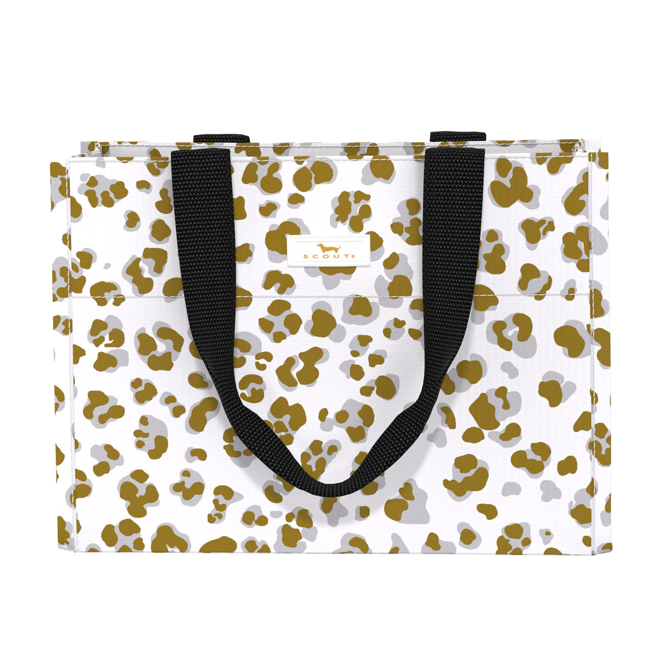 Tiny Package Gift Bag